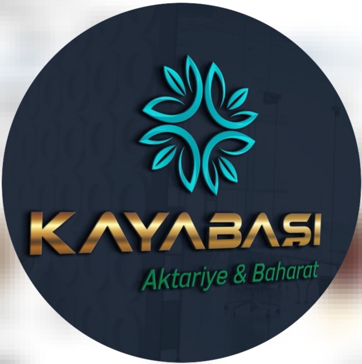 Lokma Hekim Çubuk  logo