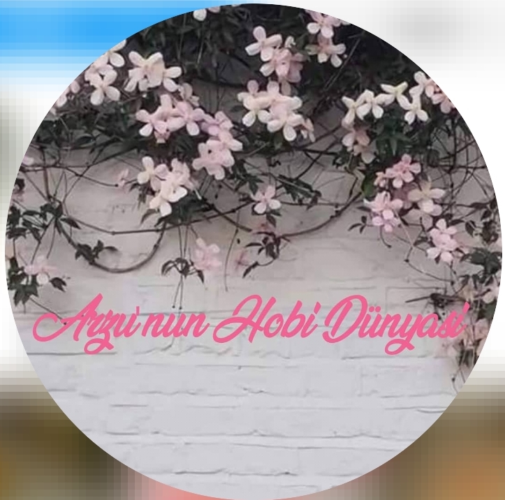 Arzu'nun Hobi Dünyası logo